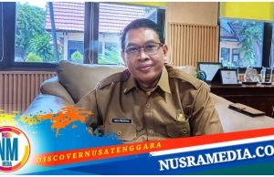 Sumbawa Bakal Jadikan Whale Shark Sebagai Scientific Tourism