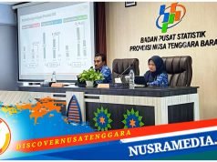 BPS : Perhiasan dan Permata Jadi Komoditas Ekspor Terbesar di Januari 2025