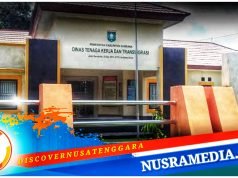 Sumbawa Bakal Lakukan Sensus Perusahaan