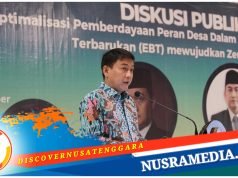 Penerapan EBT di Pedesaan Urgen untuk Pelayanan Publik