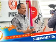 Johan Rosihan Desak Kementan Bertanggungjawab Soal Temuan Beras Impor Berkutu