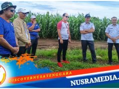 Persiapan Porprov dan PON, Pemda dan KONI Sumbawa Cek Lokasi Panahan