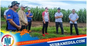 Persiapan Porprov dan PON, Pemda dan KONI Sumbawa Cek Lokasi Panahan