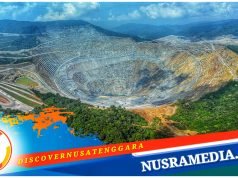 PT AMMAN Mineral Umumkan Capaian Hasil Kinerja 2024