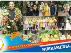 Johan Rosihan Wujudkan Mimpi Desa Banda