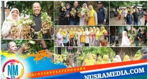 Johan Rosihan Wujudkan Mimpi Desa Banda