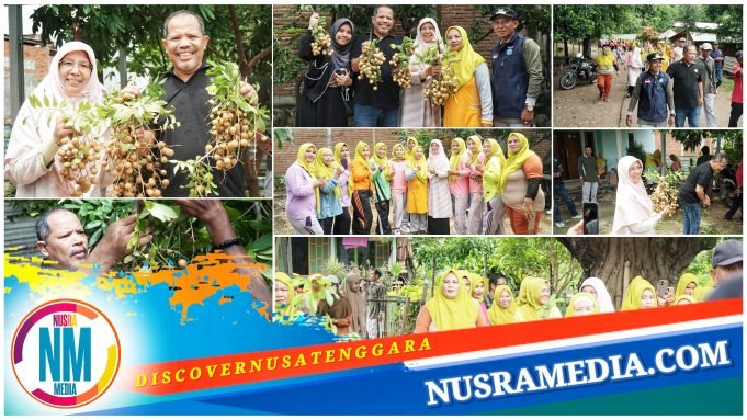 Johan Rosihan Wujudkan Mimpi Desa Banda