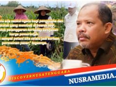 Harga Anjlok Petani Menjerit, Johan Rosihan Desak Pemerintah Tindak Tegas Pembeli Jagung Dibawah HPP