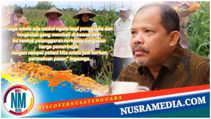 Harga Anjlok Petani Menjerit, Johan Rosihan Desak Pemerintah Tindak Tegas Pembeli Jagung Dibawah HPP