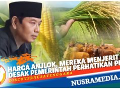 Bahas Berbagi Persoalan, Komisi II DPRD NTB Berkunjung ke Distan Lombok Tengah