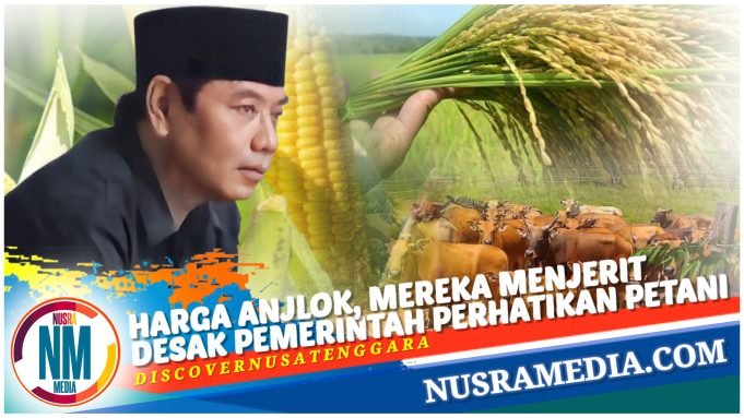 Bahas Berbagi Persoalan, Komisi II DPRD NTB Berkunjung ke Distan Lombok Tengah