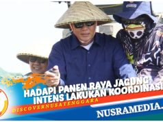 Pemda Sumbawa Ambil Langkah Strategis