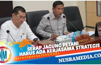 Bulog Diminta Kosongkan Gudang