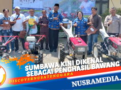 Bupati Serahkan Bantuan Alsintan ke Petani Bawang