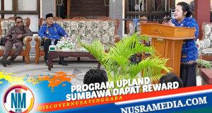 Distan Sumbawa Komit Kembangkan Komoditas Bawang Merah