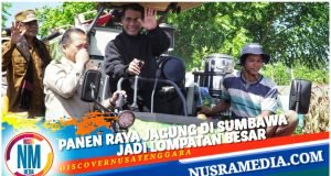 Mentan RI Optimis Sumbawa Jadi Sentra Hilirisasi Jagung