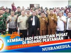 Sumbawa Menuju Industri Jagung Modern