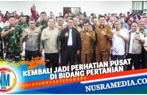 Sumbawa Menuju Industri Jagung Modern