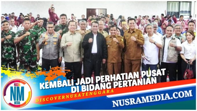 Sumbawa Menuju Industri Jagung Modern