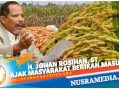 Komisi IV DPR RI Bentuk Panja Penyerapan Gabah dan Jagung