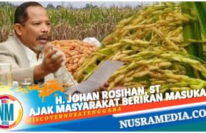 Komisi IV DPR RI Bentuk Panja Penyerapan Gabah dan Jagung