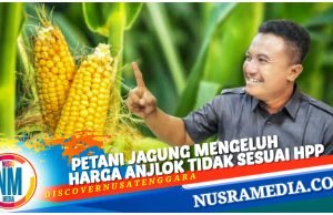Marga Harun Desak Pemprov NTB Bersinergi dengan Kabupaten/Kota