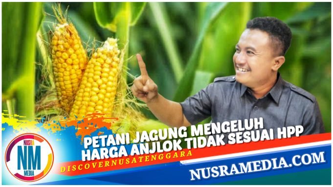 Marga Harun Desak Pemprov NTB Bersinergi dengan Kabupaten/Kota