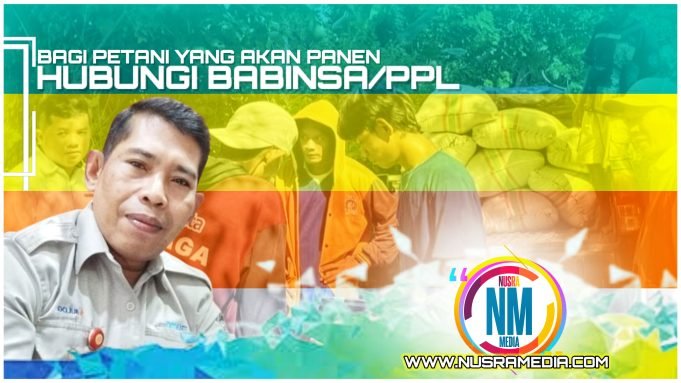 Bulog Sumbawa Komit Maksimalkan Penyerapan GKP