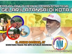 Johan Rosihan Tekankan Pentingnya 4 Pilar MPR RI Bagi Perempuan Siaga