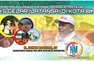 Johan Rosihan Tekankan Pentingnya 4 Pilar MPR RI Bagi Perempuan Siaga