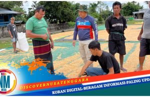 Dewan Ridwan Pantau Penghitungan Kadar Air Jagung
