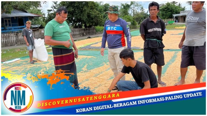 Dewan Ridwan Pantau Penghitungan Kadar Air Jagung