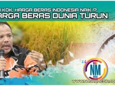 Johan Rosihan Desak Kementan dan Bapanas Lakukan Evaluasi Menyeluruh