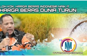 Johan Rosihan Desak Kementan dan Bapanas Lakukan Evaluasi Menyeluruh