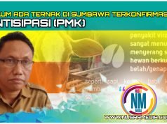 Ternak Untuk Idul Adha Diuji PCR