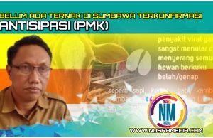 Ternak Untuk Idul Adha Diuji PCR