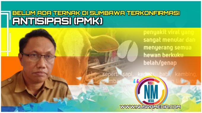 Ternak Untuk Idul Adha Diuji PCR