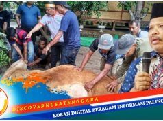 Idul Adha 2025, Johan Rosihan Qurban 10 Sapi dan 2 Kambing