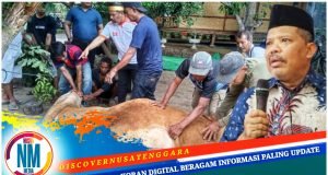Idul Adha 2025, Johan Rosihan Qurban 10 Sapi dan 2 Kambing