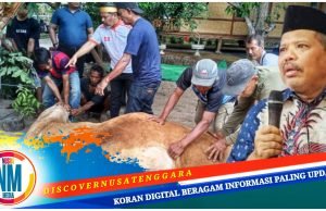 Idul Adha 2025, Johan Rosihan Qurban 10 Sapi dan 2 Kambing