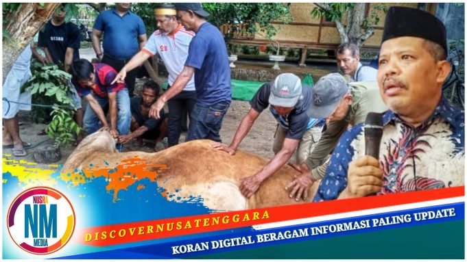 Idul Adha 2025, Johan Rosihan Qurban 10 Sapi dan 2 Kambing