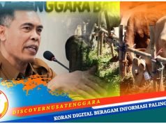 Idul Adha 1446 H, Pemprov NTB Qurban 61 Sapi dan 98 Kambing