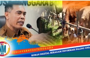 Idul Adha 1446 H, Pemprov NTB Qurban 61 Sapi dan 98 Kambing