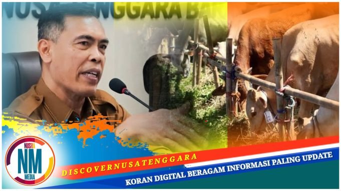 Idul Adha 1446 H, Pemprov NTB Qurban 61 Sapi dan 98 Kambing