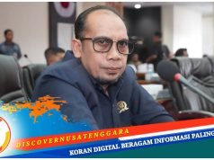 Anggota DPRD Sumbawa Harapkan Polemik Data dan Komitmen RPJMD Tuntas di Musrenbang