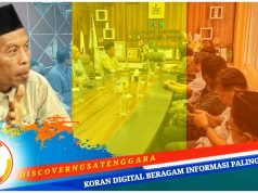 Legislator Senayan Abdul Hadi Perkuat Sinergi Listrik di NTB