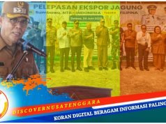 6.000 Ton Jagung Sumbawa Dikirim ke Filipina