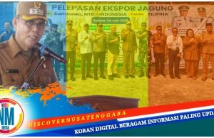 6.000 Ton Jagung Sumbawa Dikirim ke Filipina