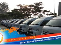 Tak Bisa Cover Semua Permintaan Penyewaan Mobil, Pengusaha Transportasi di Mataram Kewalahan