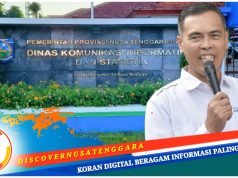 Kehadiran 30 Mobil Listrik Tak Bakal Ganggu Calon Penumpang Penyedia Jasa Transportasi